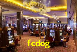 Programa VIP fcdog