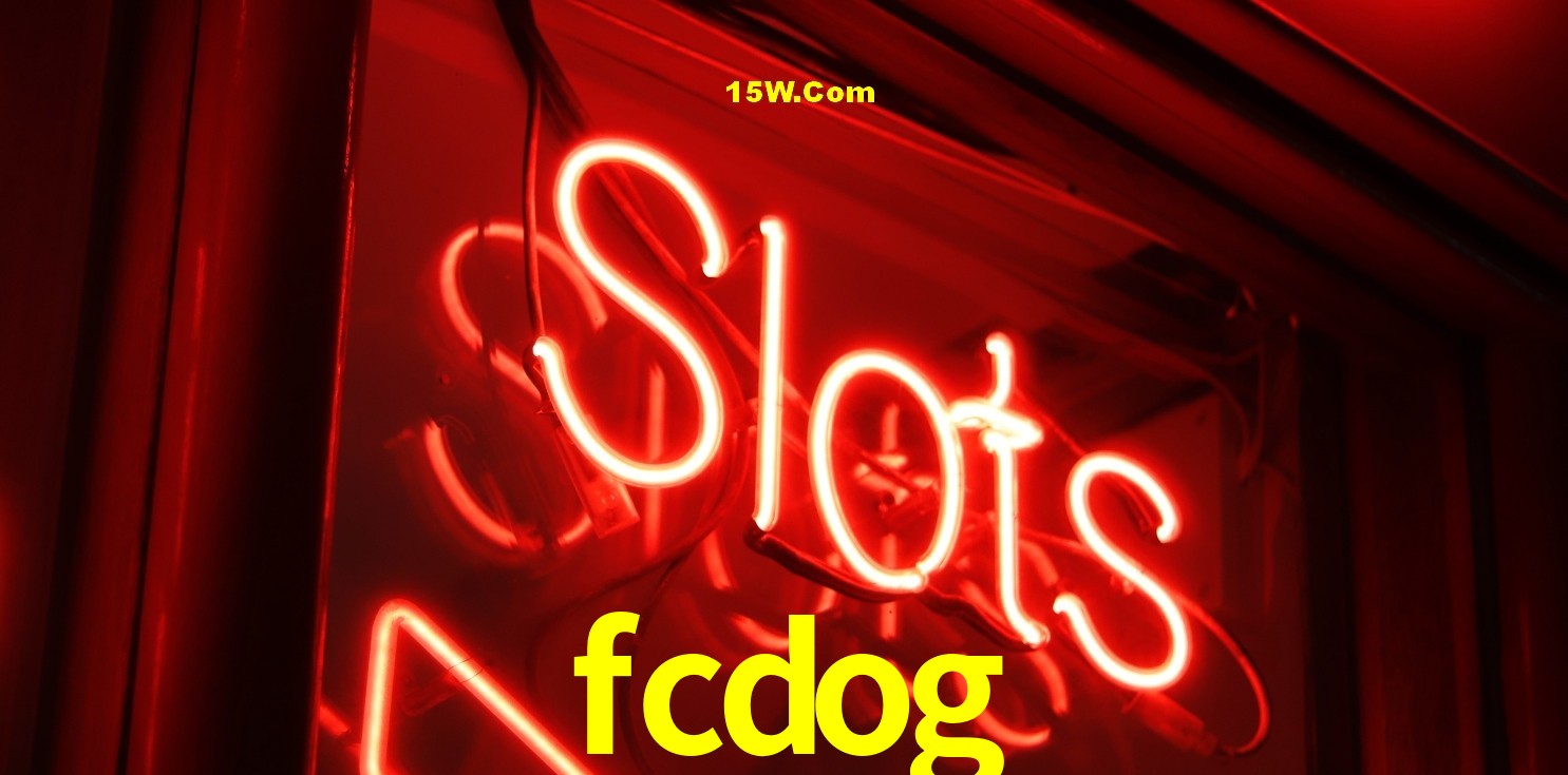 Experiência VIP fcdog